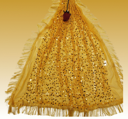 Khichdi Work Dupatta