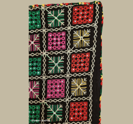Cotton Box Mirror Phulkari Dupatta 5